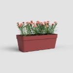 Image de JARDINIÈRE CAPRI RE 50 MA ROUGE FONCÉ