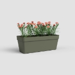 Image de JARDINIÈRE CAPRI RE 50 MA VERT SEC