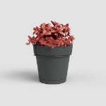 Image de POT CAPRI BALCON RE KIT 20 MA ANTHRACITE