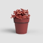 Image de POT CAPRI BALCON RE KIT 20 MA ROUGE FONCÉ