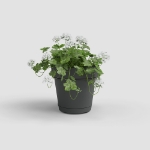 Image de POT CAPRI MUR RE KIT 20 MA ANTHRACITE