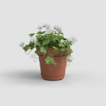 Image de POT CAPRI MUR RE KIT 20 MA TERRE CUITE