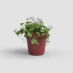 Image de POT CAPRI MUR RE KIT 20 MA ROUGE FONCÉ