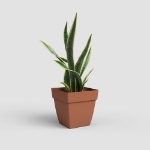 Image de POT CAPRI CARRÉ 40 MA TERRE CUITE