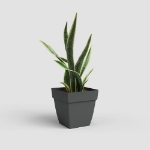 Image de POT CAPRI CARRÉ 45 MA ANTHRACITE