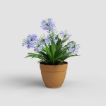 Image de POT CAPRI CAMPANA 40 MA JAUNE MIEL