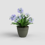 Image de POT CAPRI CAMPANA 50 MA VERT SEC