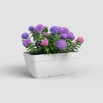 Image de JARDINIÈRE CAPRI CAMPANA XL 80 MA BLANC