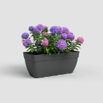Image de JARDINIÈRE CAPRI CAMPANA XL 80 MA ANTHRACITE