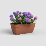 Image de JARDINIÈRE CAPRI CAMPANA XL 80 MA TERRE CUITE