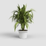 Image de POT VENEZIA CILINDRO 35 MA BLANC