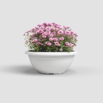 Image de COUPE VENEZIA 40 MA BLANC