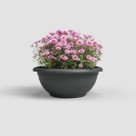 Image de COUPE VENEZIA 50 MA ANTHRACITE