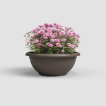 Image de COUPE VENEZIA 50 MA BRONZE