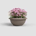 Image de COUPE VENEZIA 50 MA TAUPE