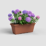 Image de JARDINIÈRE VENEZIA L SWS 60 MA TERRE CUITE