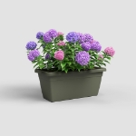 Image de JARDINIÈRE VENEZIA XL 60 MA VERT SEC