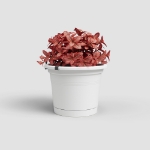 Image de POT VENEZIA MUR RE KIT 20 MA BLANC