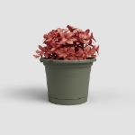 Image de POT VENEZIA MUR RE KIT 20 MA VERT SEC