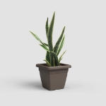 Image de POT VENEZIA CARRÉ 40 MA BRONZE