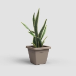 Image de POT VENEZIA CARRÉ 40 MA TAUPE