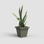 Image de POT VENEZIA CARRÉ 40 MA VERT SEC