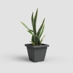 Image de POT VENEZIA CARRÉ 45 MA ANTHRACITE