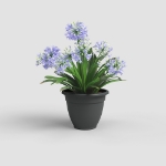 Image de POT VENEZIA CAMPANA 20 MA ANTHRACITE