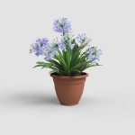 Image de POT VENEZIA CAMPANA 50 MA TERRE CUITE