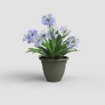 Image de POT VENEZIA CAMPANA 50 MA VERT SEC