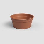 Image de COUPE MADAGASCAR 34 MA TERRE CUITE