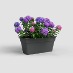 Image de JARDINIÈRE MADAGASCAR XL 80 MA ANTHRACITE