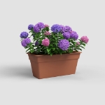 Image de JARDINIÈRE MADAGASCAR XL 80 MA TERRE CUITE