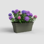 Image de JARDINIÈRE MADAGASCAR XL 80 MA VERT SEC