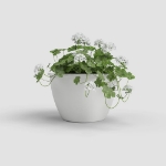 Image de POT ALGARVE MUR 30 MA BLANC