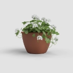 Image de POT ALGARVE MUR 30 MA TERRE CUITE