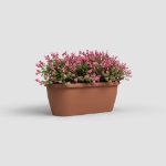 Image de JARDINIÈRE ALGARVE MUR 40 MA TERRE CUITE