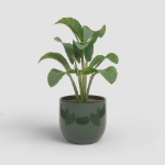 Image de CACHE-POT ARCADIA 26CM EM VERT ÉMERAUDE