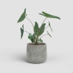 Image de CACHE-POT OLYMPUS 19 EM GRIS