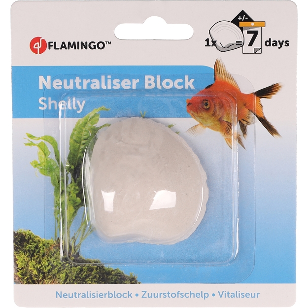 Image de COQUILLE A OXYGENE SHELLY