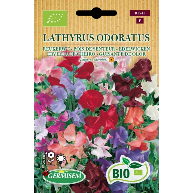 Image de Graines bio de Lathyrus (pois de senteur) Royal varié