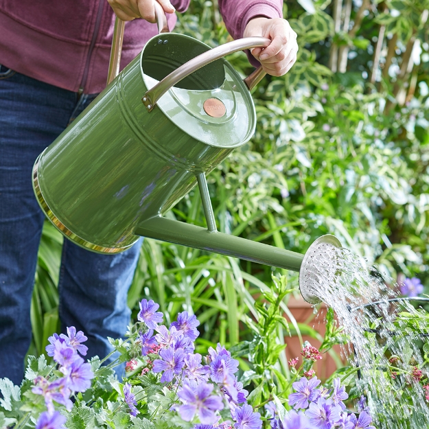 Image de Arrosoir métal   - Sage 9L