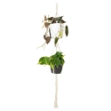 Image de MACRAMÉ DOUBLE NŒUD BASIQUE BLANC 120 CM
