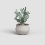 Image de COUPE ARTEMIS 21CM BLANC