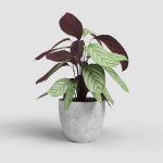 Image de CACHE-POT HÉSTIA 17CM GRIS CLAIR