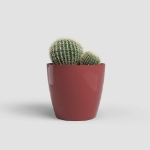 Image de POT SAN REMO BRILLANT 9CM ROUGE FONCÉ