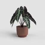 Image de POT MIAMI WAVY 8 MA MARRON MOCHA