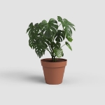 Image de POT CAPRI 20 MA TERRE CUITE