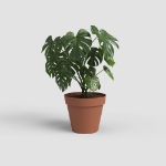 Image de POT CAPRI 60 MA TERRE CUITE
