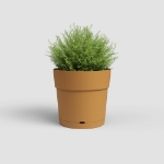 Image de POT CAPRI LARGE RE 20 MA JAUNE MIEL